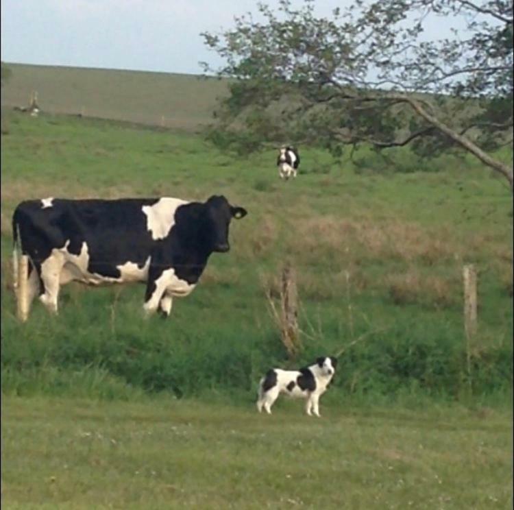 Thistledown - Ballina - Crossmolina - County Mayo - Sleeps 8 - Sister Property To Inglewood 외부 사진